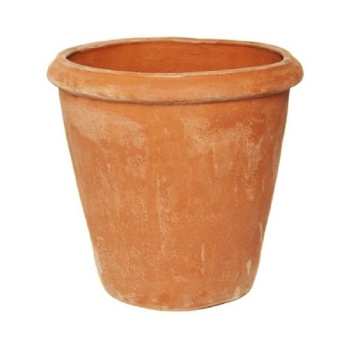 Terracotta Camerlia Pot